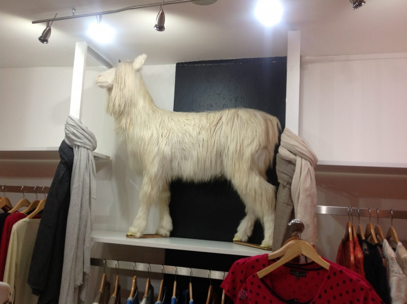cashmere